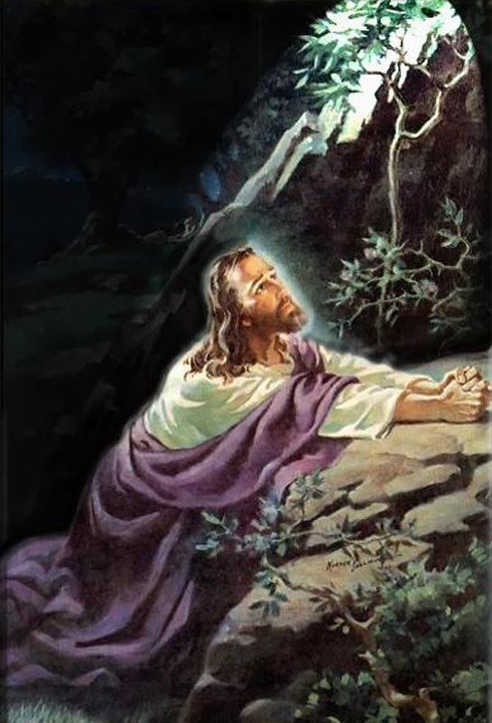 Jesus prays not to go through with crucifixion unless God wants Him to.jpg